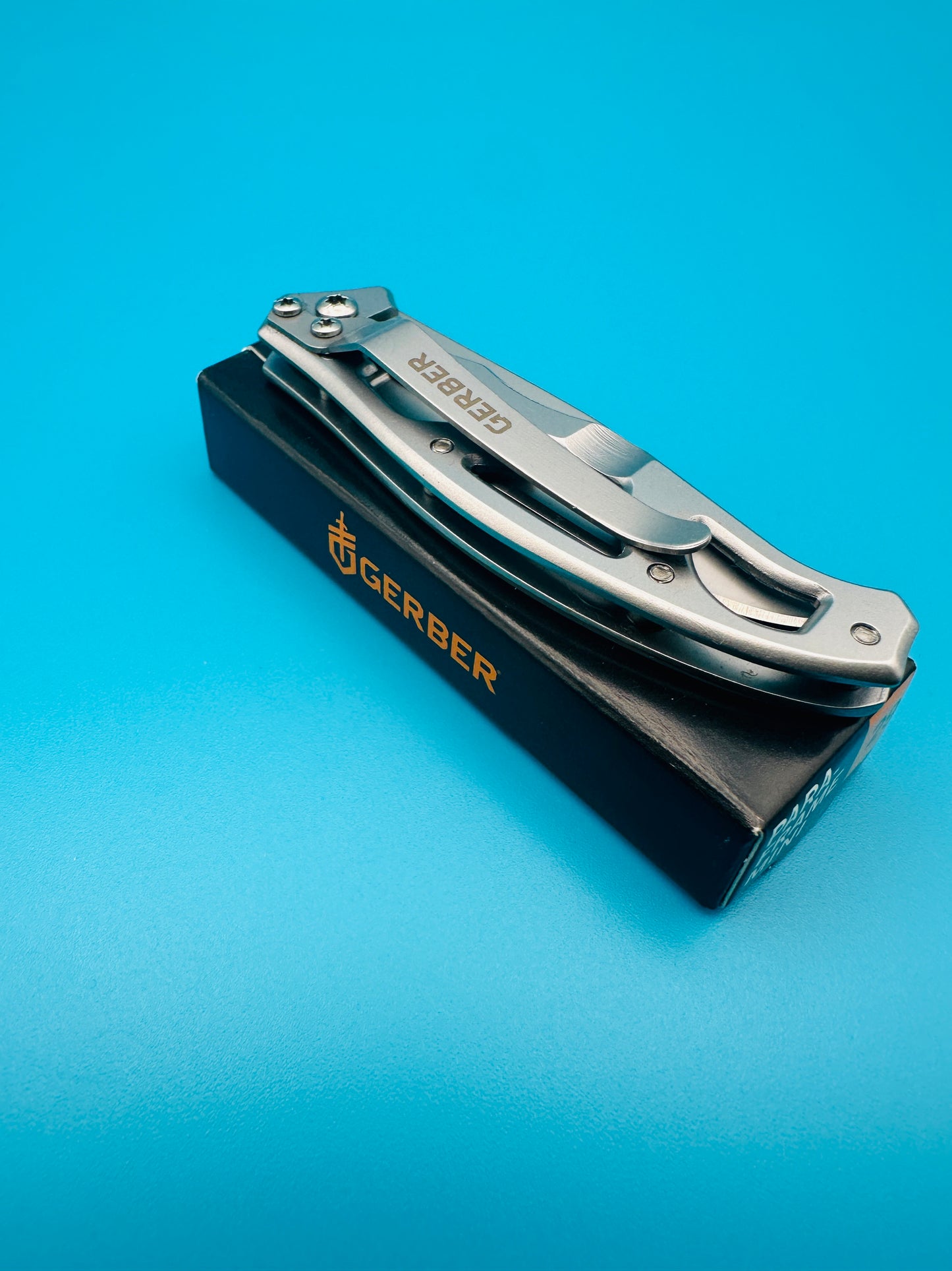 Gerber Mini Paraframe folding knife closed, stainless framelock handle