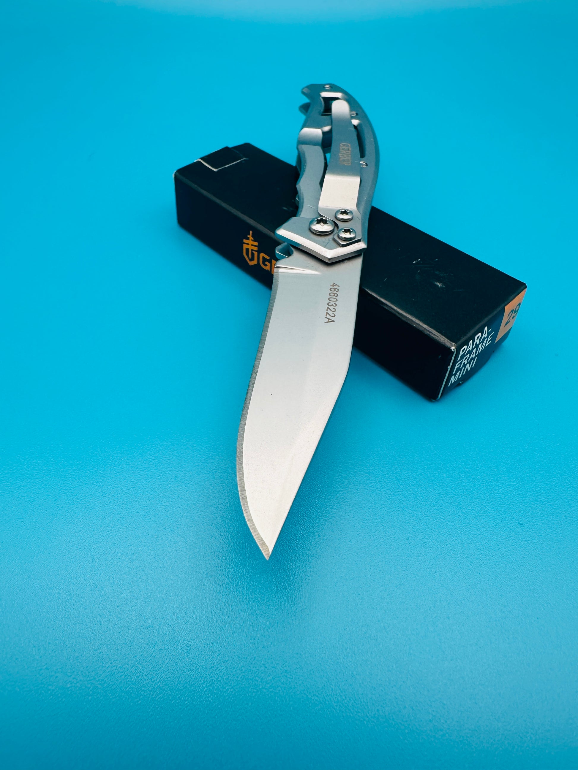 Gerber Mini Paraframe framelock knife displayed upright with box