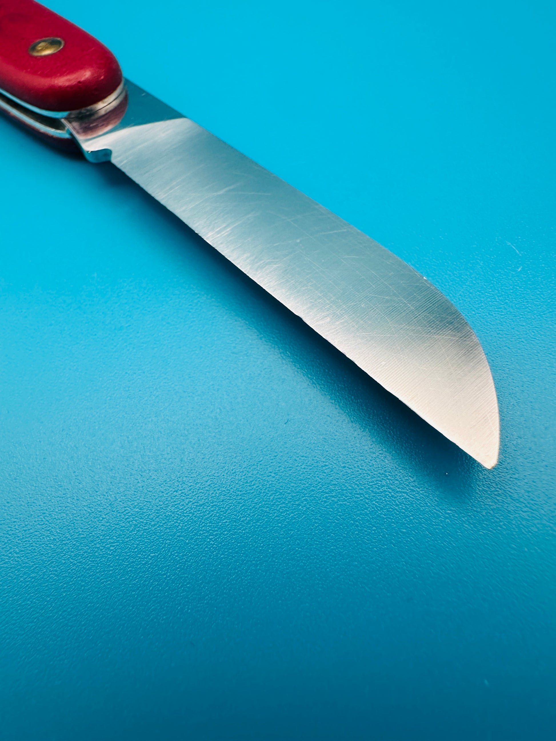 Close-up of Gardener knife blade with clean edge